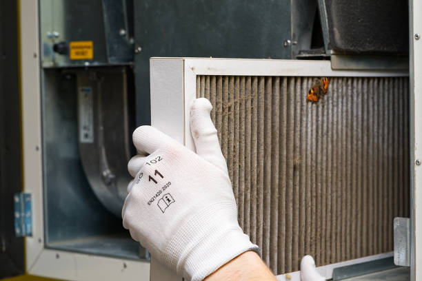 Best Affordable Air Duct Cleaning  in Littlerock, CA