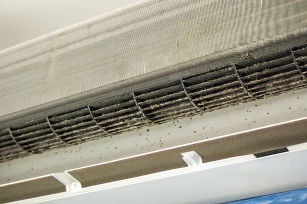 Best Ventilation Cleaning Services  in Littlerock, CA