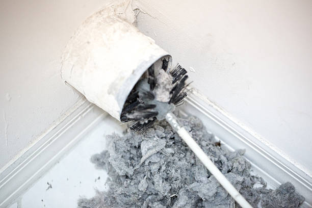 Best Air Duct Cleaning Company Near Me  in Littlerock, CA