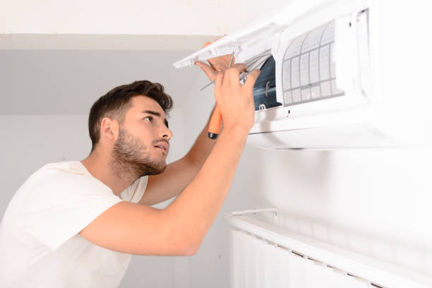 Best Home Air Vent Cleaning  in Littlerock, CA